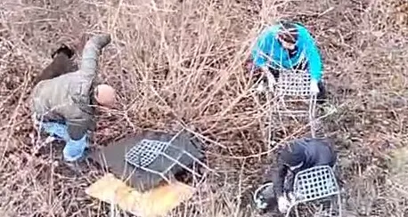 Rifugio Bindesi preso di mira dai vandali: arredi distrutti nella notte