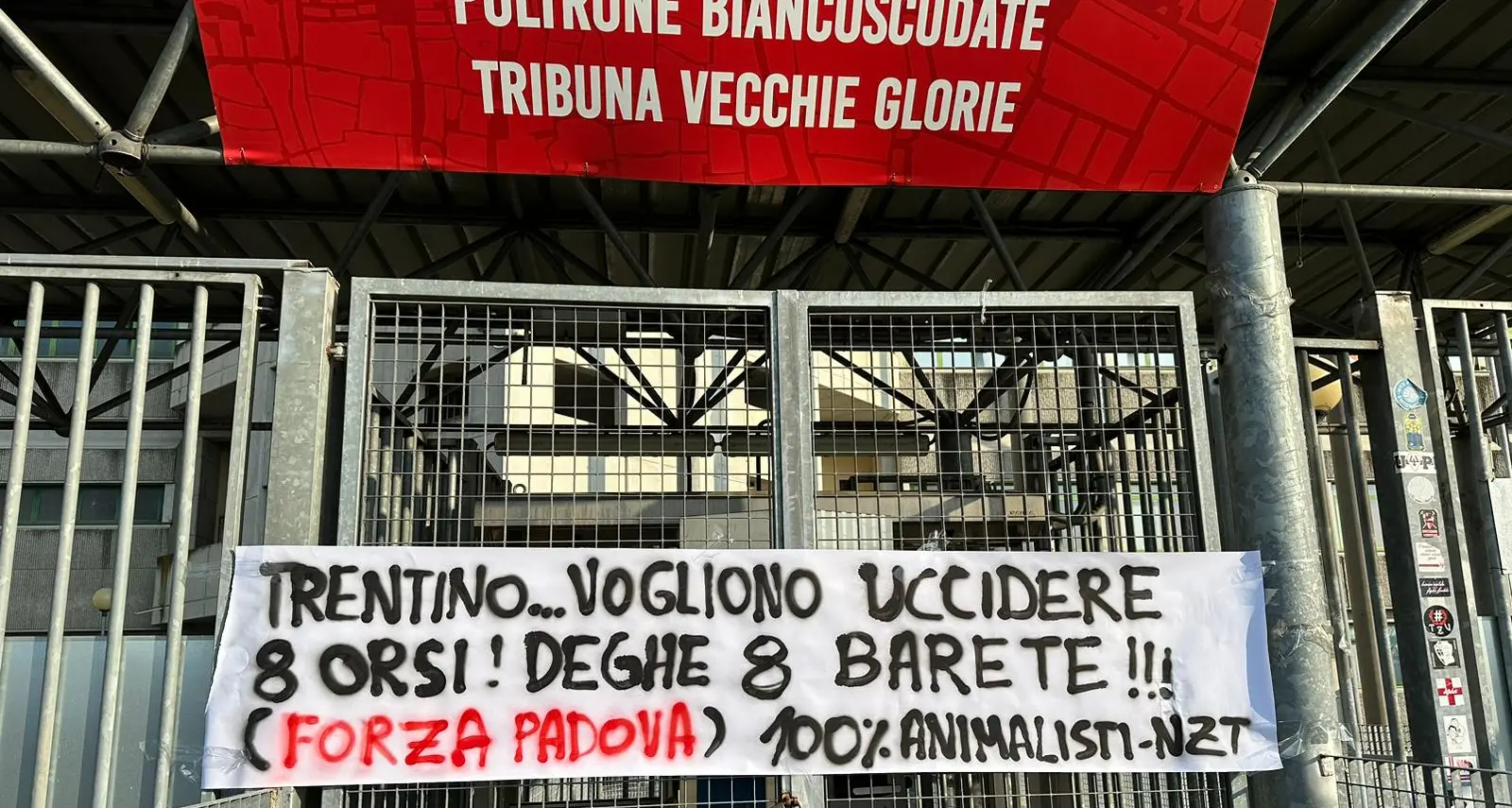 Abbattimento degli orsi, uno striscione contro la giunta Fugatti sui cancelli dello stadio di Padova