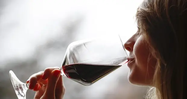 Sono dodici i vini del Trentino con i “Tre Bicchieri” Gambero Rosso: ecco quali sono