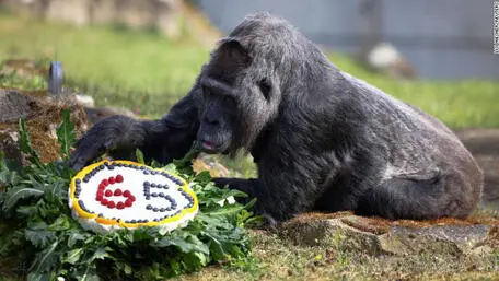 ZOO DI BERLINO
