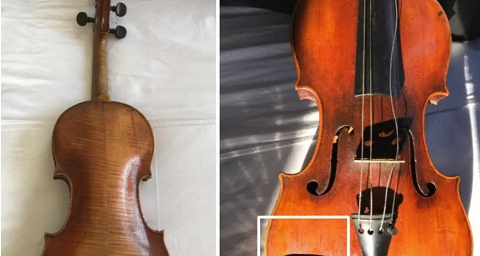 Il violino trovato in soffitta… è un Guarneri, vale milioni