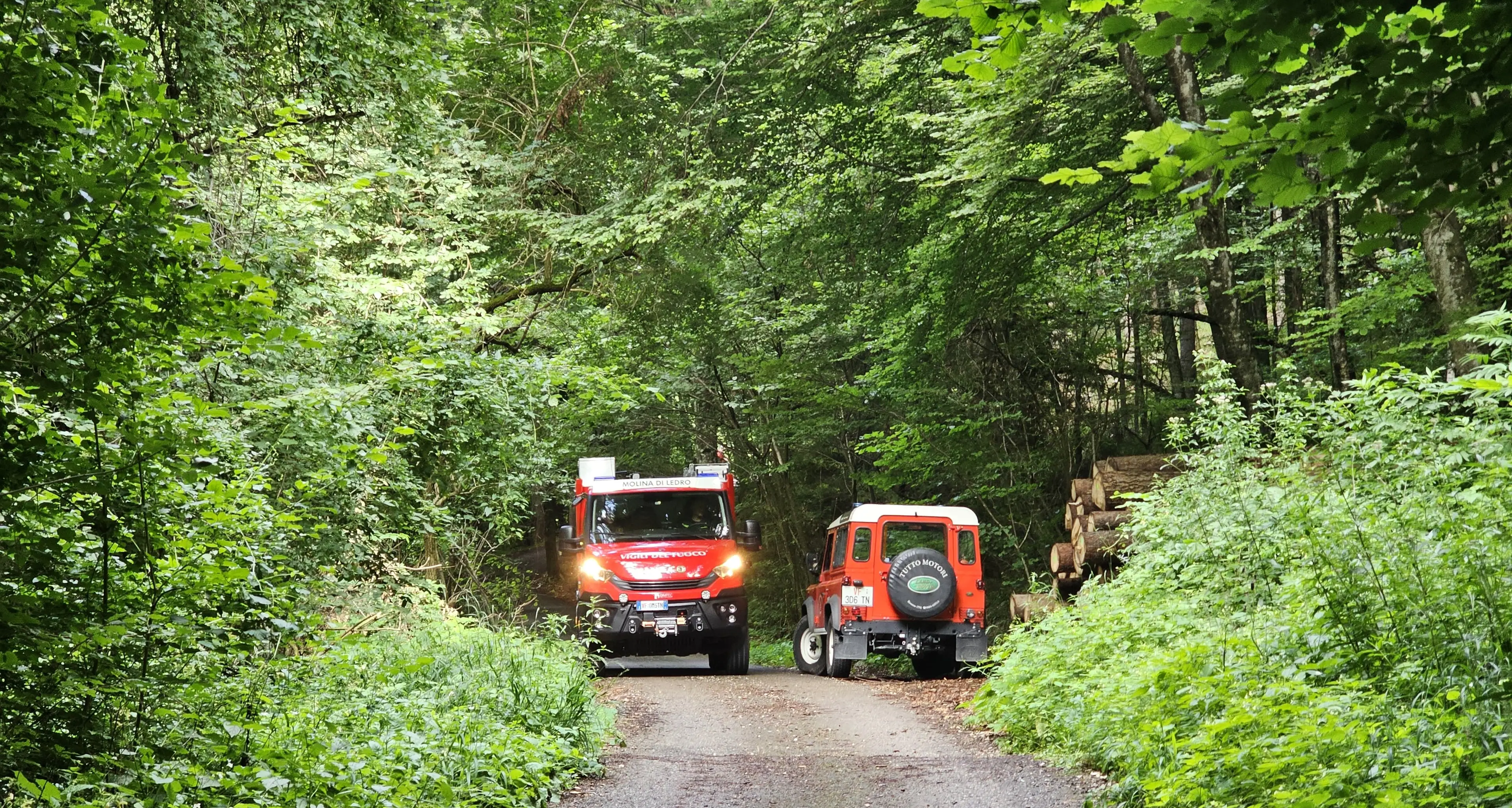 Tragedia sul lavoro in Val di Ledro: morto un 61enne travolto da un tronco