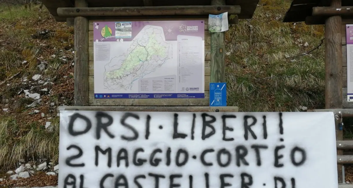 Cartelli per la liberazione degli orsi del Casteller in tutta Italia: “Presto una nuova manifestazione”