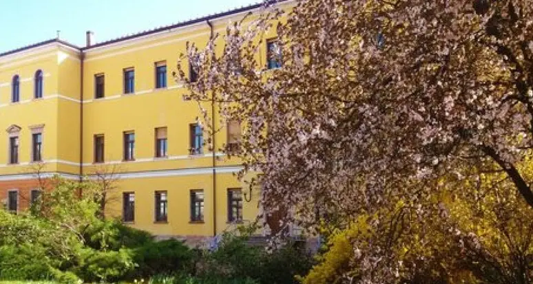 Studentessa ammessa (e bocciata) alla maturità con 5 insufficienze. Gli insegnanti: “Noi umiliati”