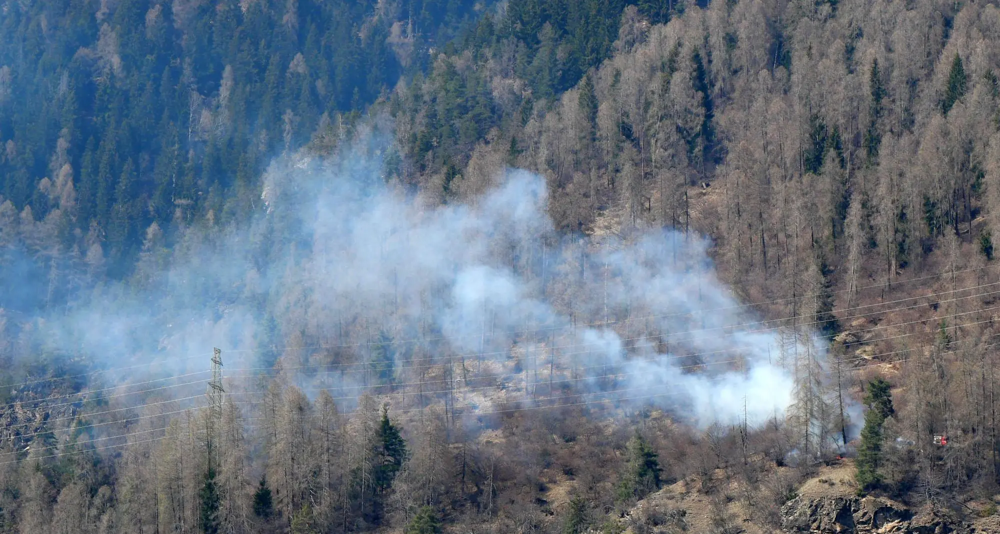 Incendi boschivi, 1,3 milioni di euro in arrivo per la prevenzione in Val di Sole e nel Tesino