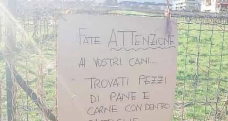 Altri bocconi avvelenati per le strade di Arco, l’appello del Comune per la sicurezza
