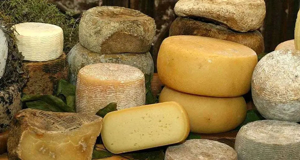 Il miglior formaggio di malga del Lagorai e di Vezzena-Marcesina: domenica a Castel Ivano la proclamazione