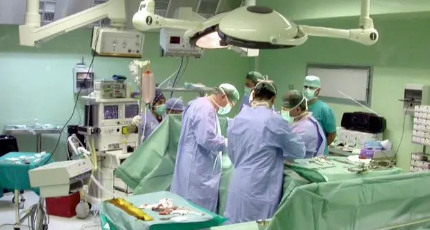 Record di trapianti in Italia nel 2024: sono stati 4.692, il numero più alto di sempre. I dati trentini