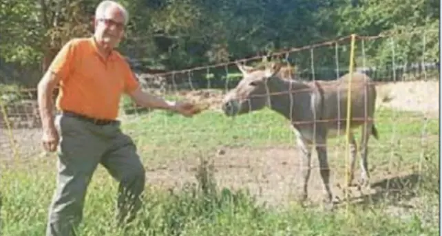 Borgo, i lupi uccidono due asini nel giardino di casa: “Ora abbiamo paura ad uscire di casa la sera”