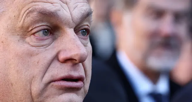 Ilaria Salis, Orban: mi muoverò per un equo trattamento