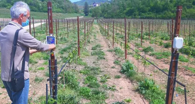 I numeri della Fondazione Mach: servizi a 1.020 aziende nel 2020, analizzati 28mila campioni