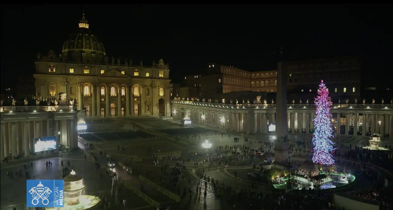 L'albero di Natale di Ledro splende di luce in piazza San Pietro – LE FOTO