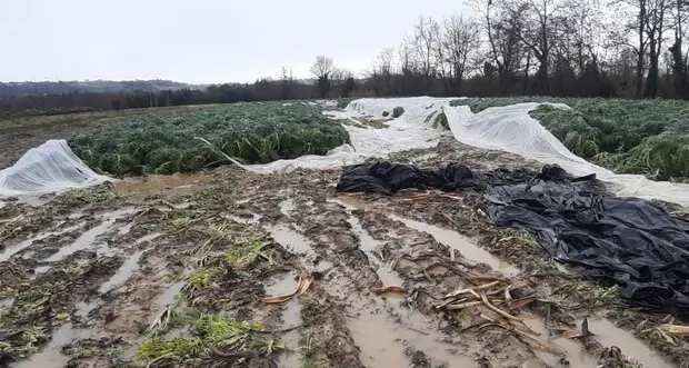 Incrociamo le dita e speriamo che il caldo estivo arrivi molto in fretta: sistema agricolo in ginocchio