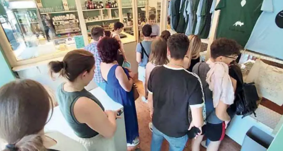 Successo per il nuovo bar dei gatti a Trento: subito un boom di prenotazioni