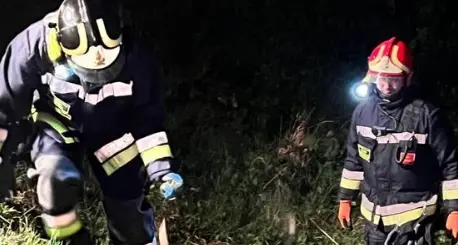 Investe una cerva alla Mochena: auto distrutta, l’animale ha dovuto essere abbattuto