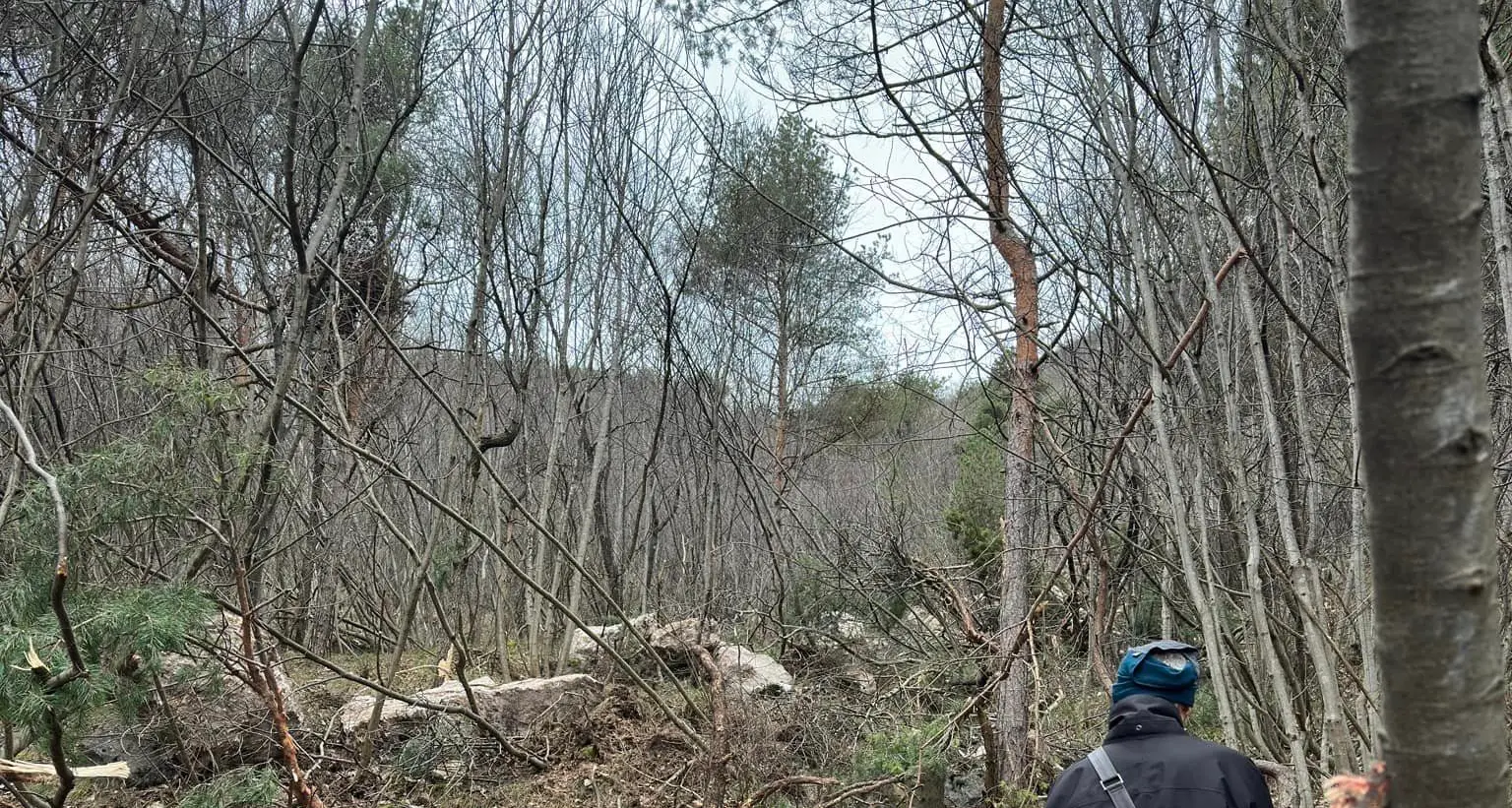 Frana sopra il Belvedere di Ravina: situazione monitorata, per il geologo non ci sono pericoli