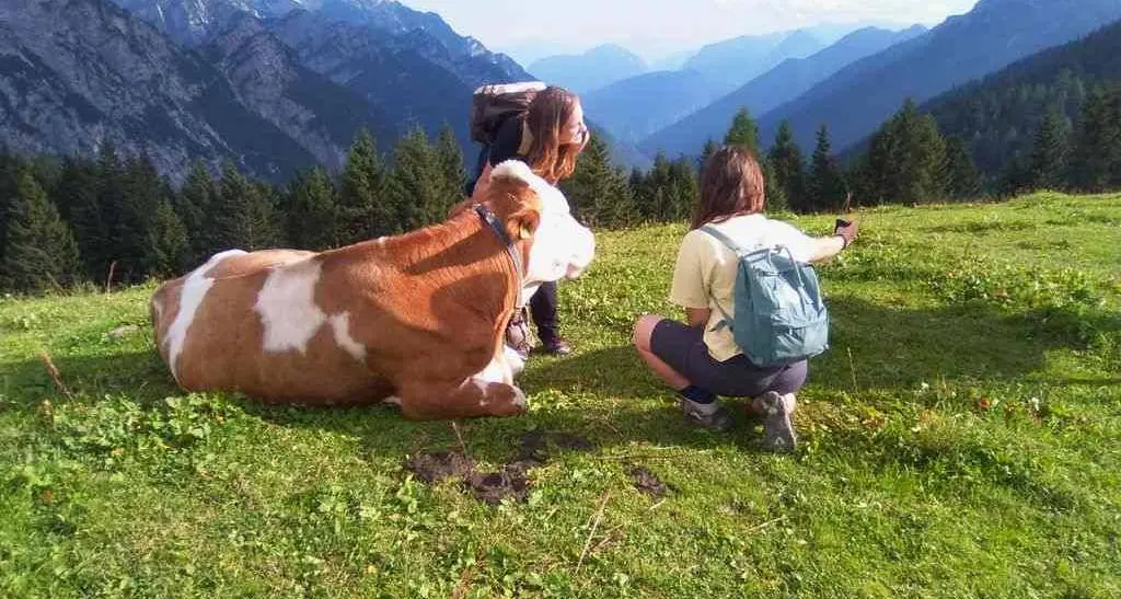 Legambiente dà le pagelle alla montagna: due bandiere verdi in Trentino, e una bandiera nera alla Provincia