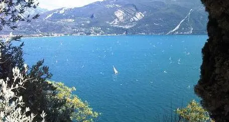 Garda, nasce il progetto per salvare la pesca: studio condiviso tra tre regioni