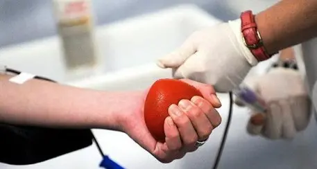 Sempre più persone donano il sangue in Trentino: aumentano i giovani e gli associati di Avis