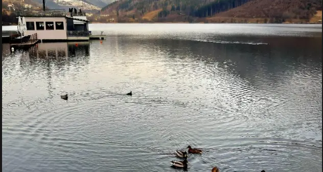 Lago di Serraia (Bandiera Blu), Legambiente fa le analisi, c'è un problema al Fos Grand