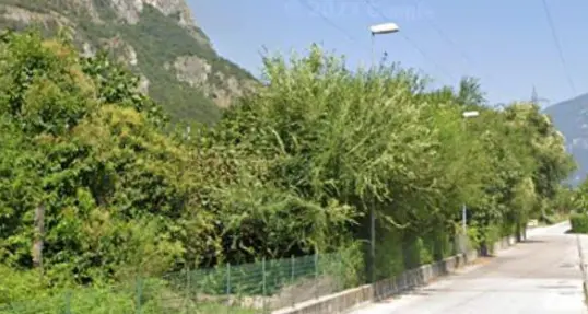 Le Ferrovie sfrattano gli orti dalle rampe, bufera ad Ala (ma forse si salvano grazie agli uccelli)