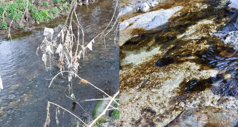 Il fiume Sarca sorvegliato speciale a Pinzolo: acqua tinta ancora di bruno