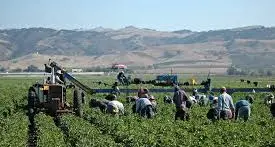 Perdono la vita due uomini sul posto di lavoro: necessario prevenire incidenti sul campo agricolo