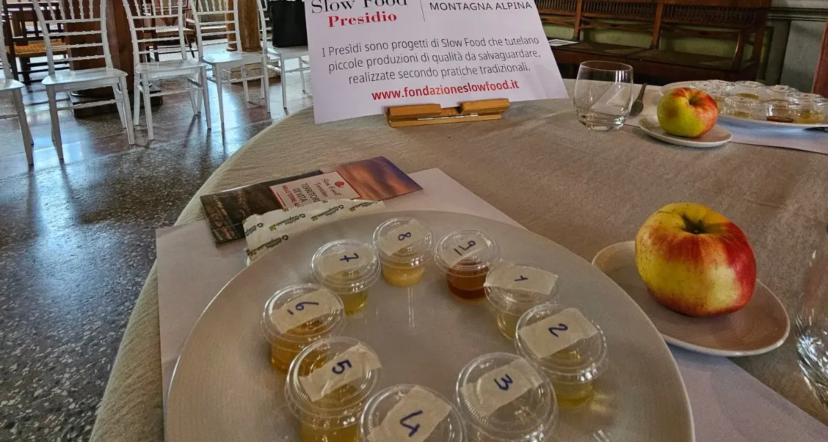 Il miele è buono, quello \"di alta montagna\" è super: nasce il Presidio Slow Food con 11 apicoltori trentini