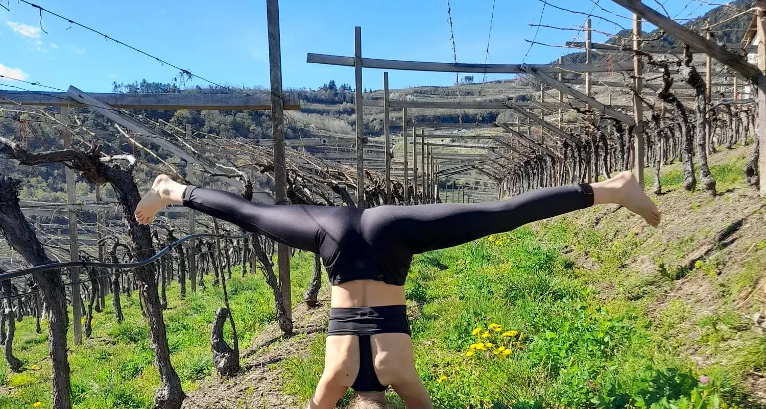 Nuove frontiere del turismo: far lo yoga nelle vigne (della Val di Cembra)