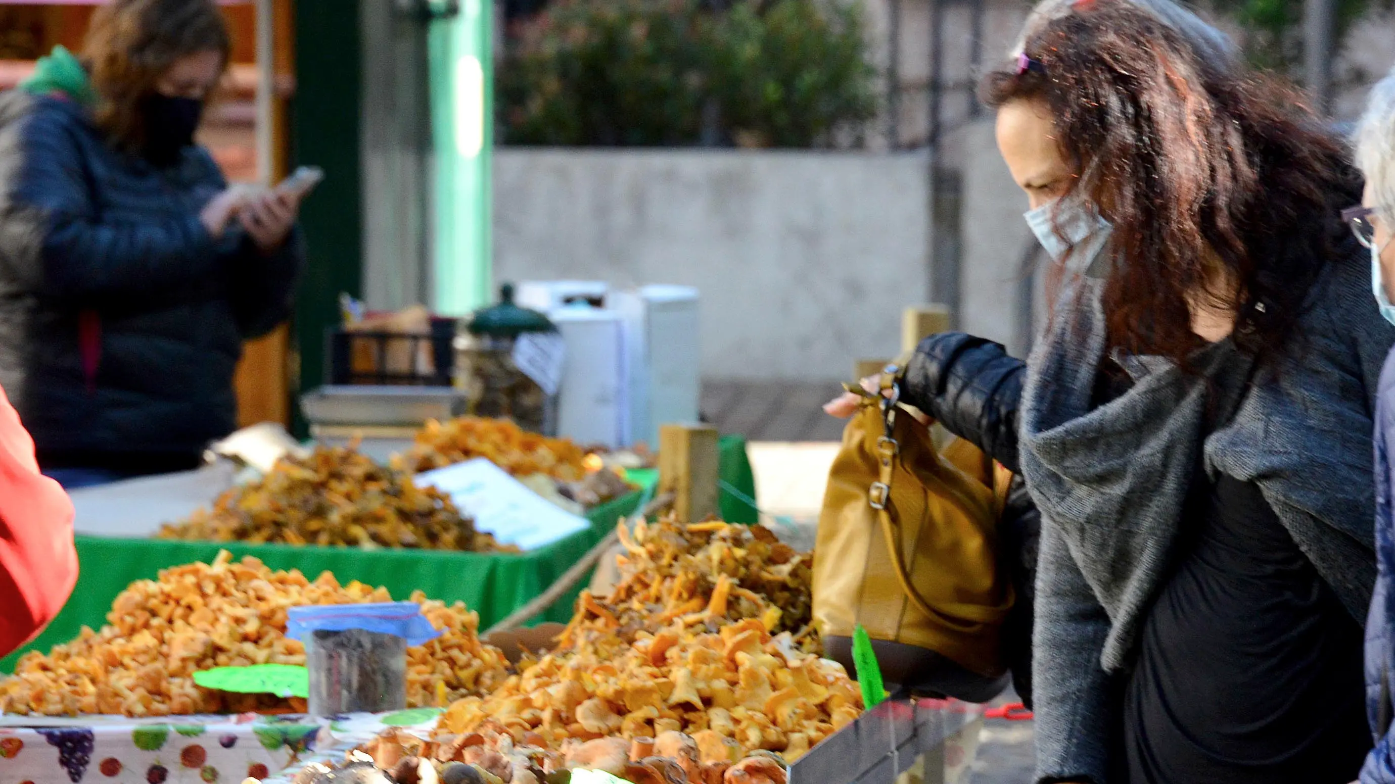 PAOLO PEDROTTI