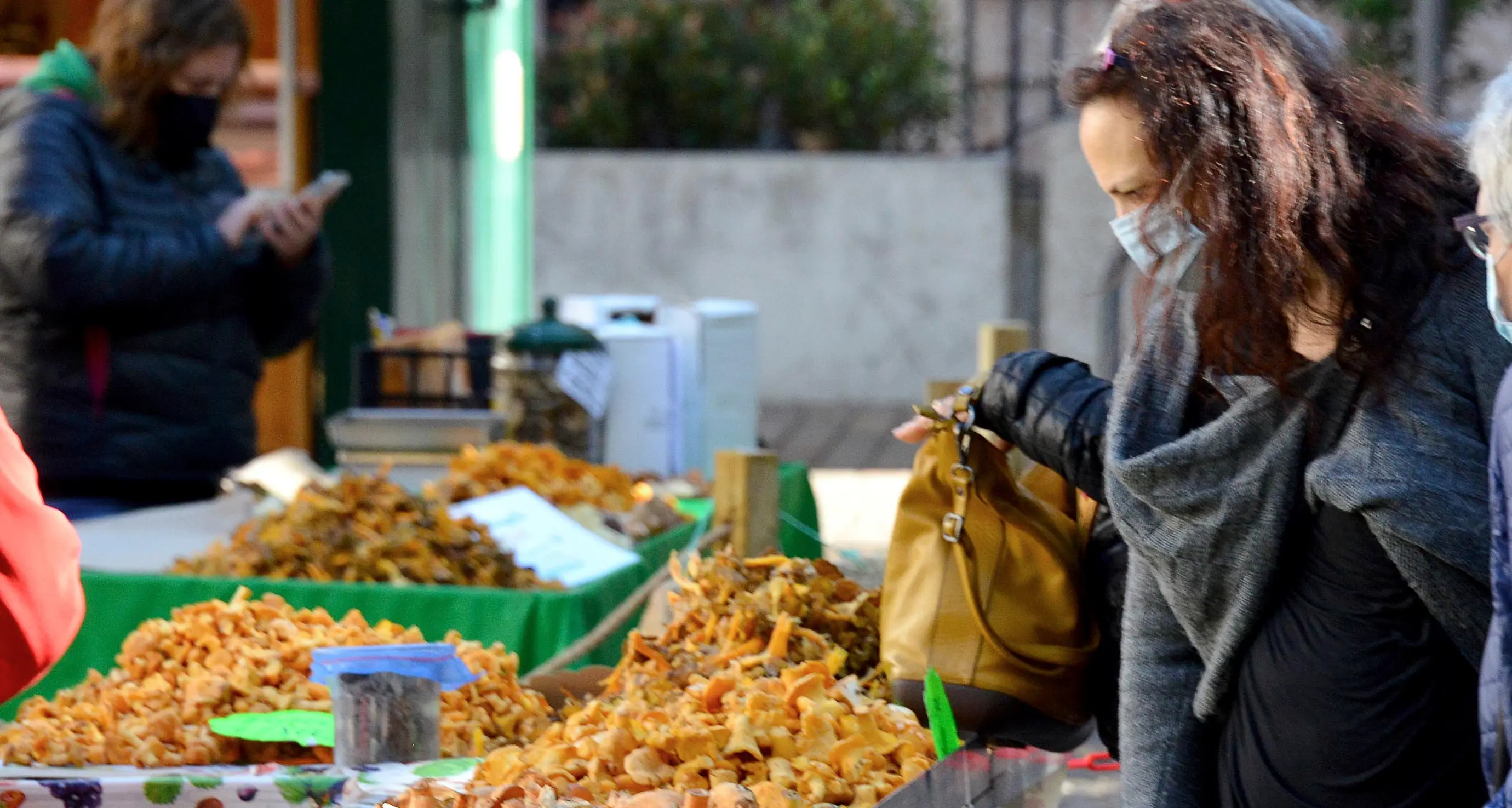 Dal 5 luglio torna il controllo funghi in piazza Vittoria a Trento