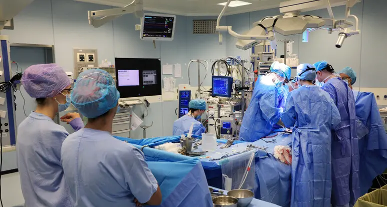 A Bologna tre vite salvate da trapianti a cuore fermo