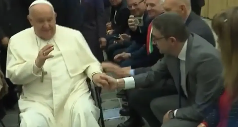 L'albero di Ledro in Vaticano, il Papa loda il \"taglio ecologico\" e riceve mille trentini in udienza
