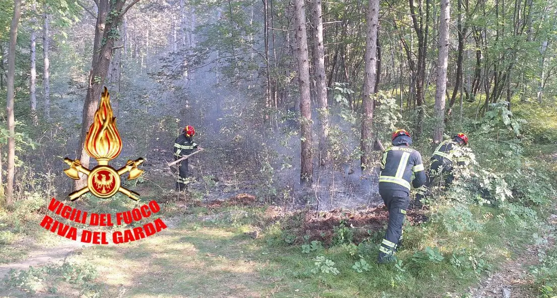 Incendio boschivo sopra Nago, i vigili del fuoco in azione