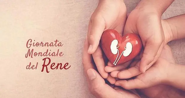 Giornata del rene, l’importanza della diagnosi precoce: in piazza Fiera le analisi gratuite. Tutto quello che c’è da sapere