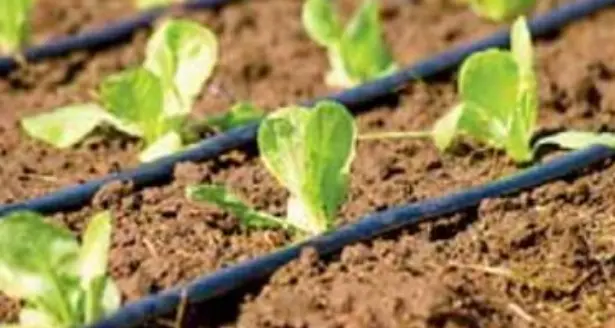 Irrigare consumando meno: sperimentazione in tre nuove aree del Trentino