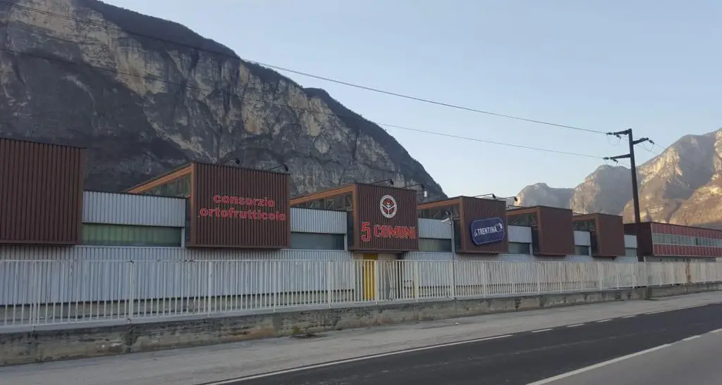 Frutticoltura: il Consorzio 5 Comuni ha completato la fusione con La Trentina