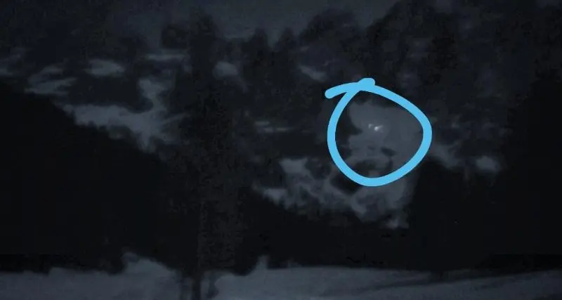 Incredibile soccorso notturno in montagna: tre escursionisti esausti nella neve salvati dalla poliziotta con la slitta e i cani
