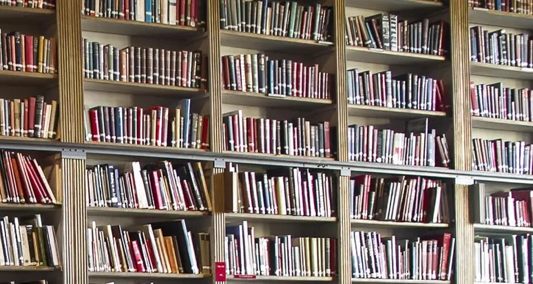Biblioteca di Trento da record, oltre 370mila presenze nel 2023: boom manga e fumetti