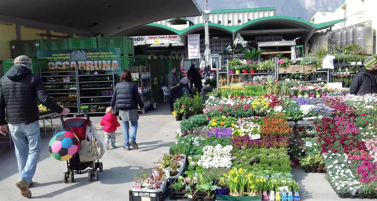 Domenica la Fiera della Lazzera, Lavis in fiore con 350 bancarella e la mostra agricola alla Cantina