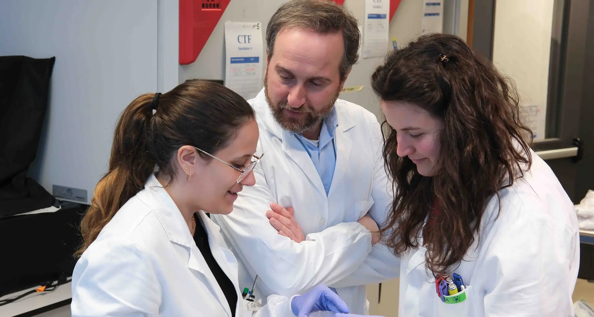 Un sistema 3D per studiare farmaci contro i tumori cerebrali: a svilupparlo l’Università di Trento