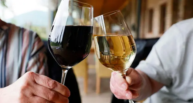 Bollino nero sul vino: l’Ue potrebbe definirlo pericoloso e cancerogeno, preoccupazione tra i vignaioli del Nord Est