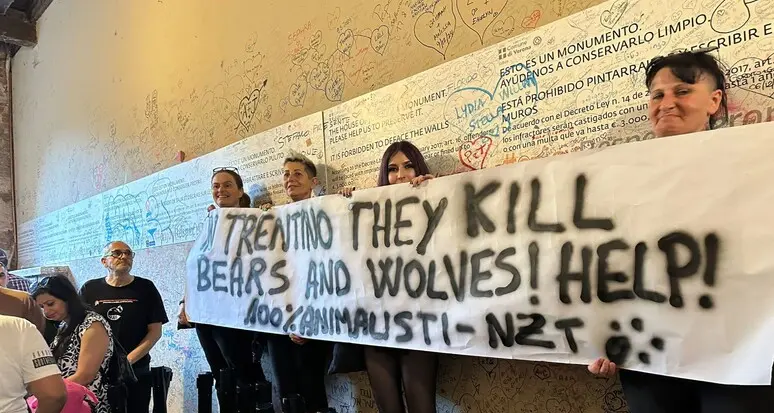 Protesta animalista contro Fugatti a Verona: chiamate in causa le politiche sui grandi carnivori