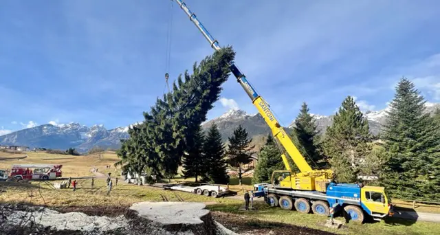 L’albero di Natale di piazza San Pietro viene dalla Paganella, è in viaggio per Roma