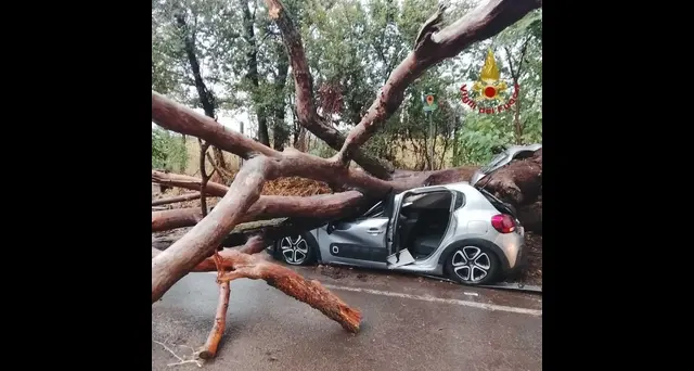 Maltempo: cade albero su un'auto a Roma, un ferito grave