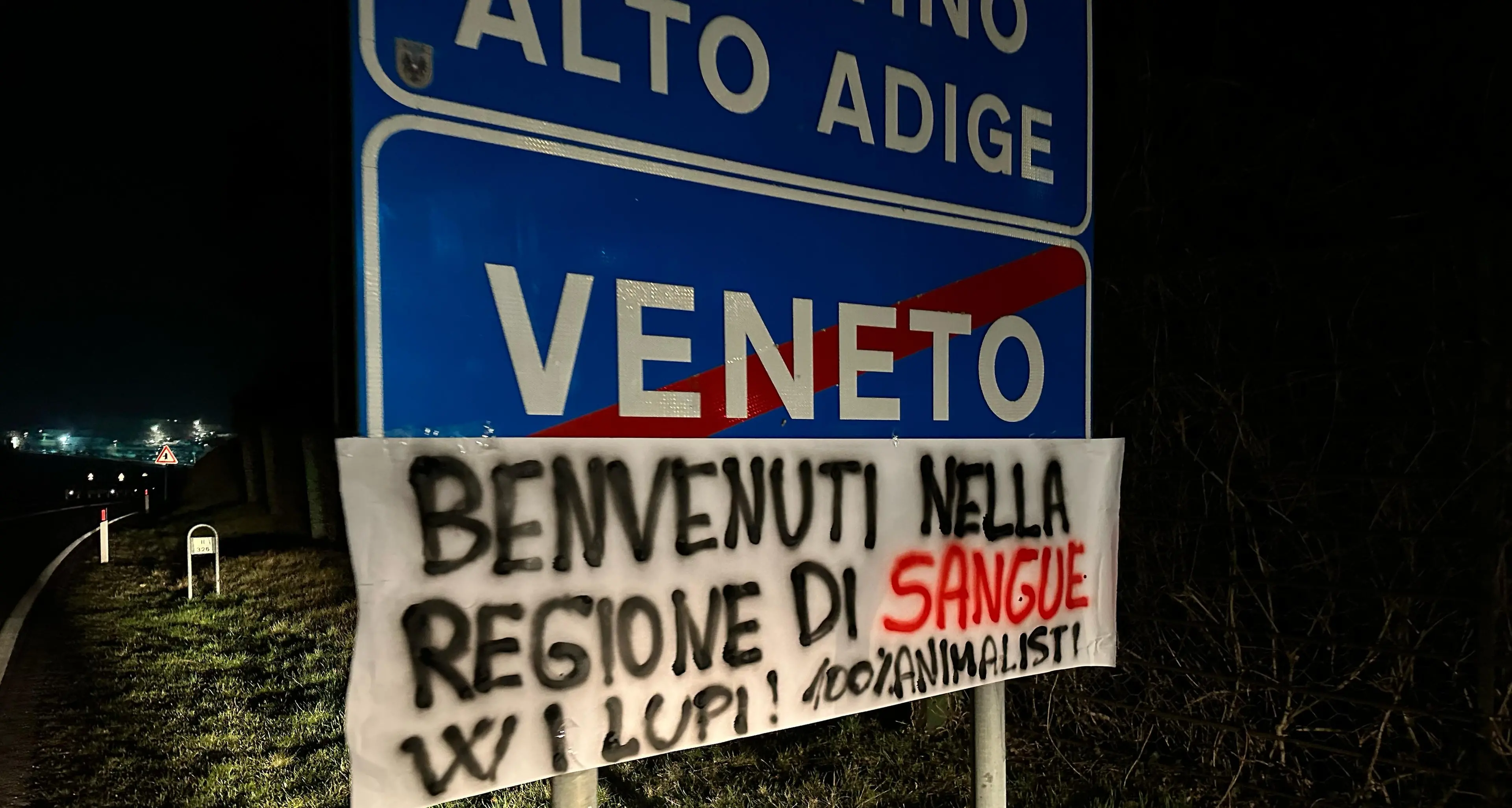 Via libera agli abbattimenti dei lupi, nuova protesta degli animalisti