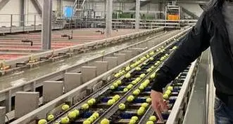 Sft rassicura i sindacati: «Stipendi garantiti ai lavoratori»