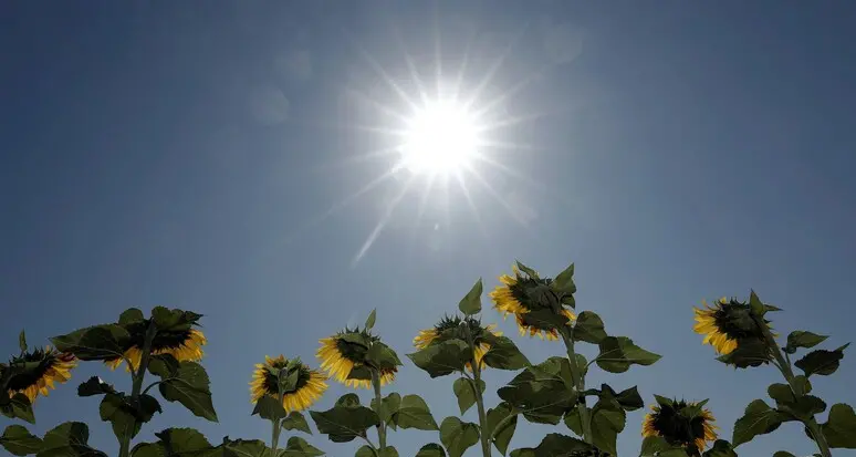 Giornate di sole al mese nelle città italiane: Bolzano al 22esimo posto, Trento 49esima