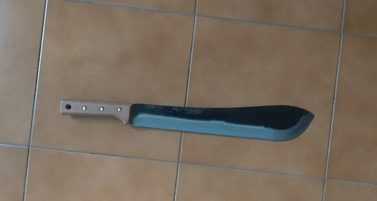 Bressanone: in stazione armati di machete, denunciati due minorenni