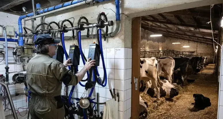 Zootecnia trentina, giunta sotto accusa. Demagri: si cambi strategia e si guardi all’Alto Adige e alla Spagna